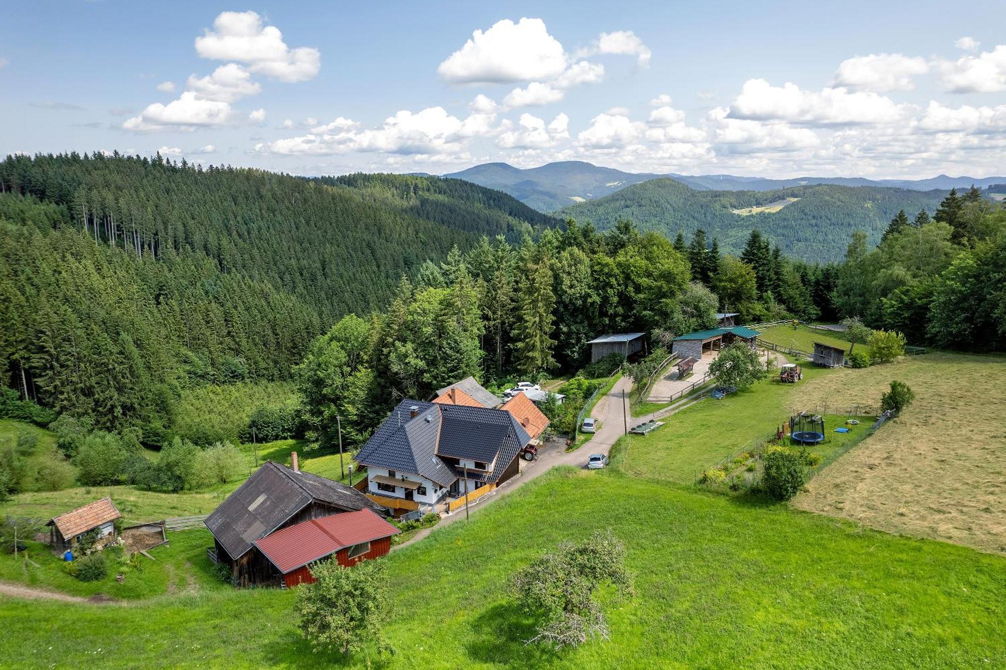 Ferien Auf Der Fleischdielte Mühlenbach Dış mekan fotoğraf